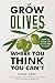 Grow Olives Where You Think You Can’t by Steven Biggs