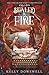 Sealed in Fire (The Dream Writer's Chronicles)