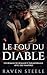 Le Fou du Diable: Une roman...