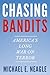 Chasing Bandits: America's Long War on Terror
