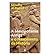 A Mesopotâmia Antiga e o Nascimento da História