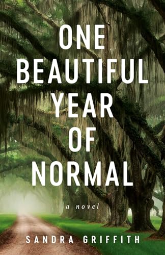 One Beautiful Year of Normal (Paperback)
