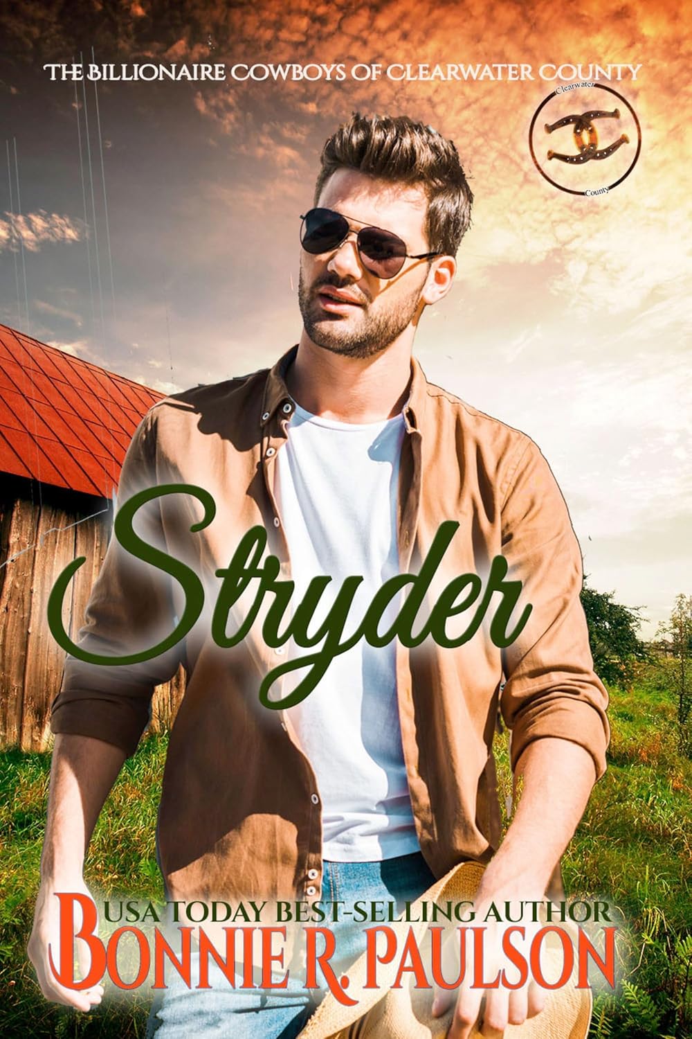 Stryder (The Billionaire Cowboys of Clearwater County #1)
