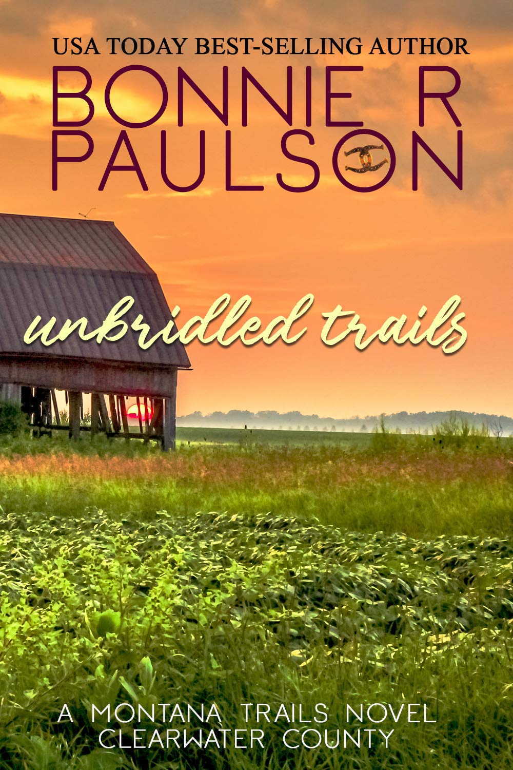 Unbridled Trails (Montana Trails #3)