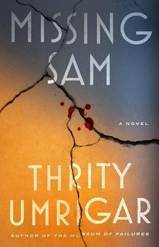 Missing Sam (Hardcover)