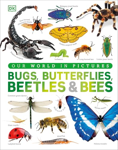 Our World in Pictures Bugs, Butterflies, Beetles and Bees (Hardcover)