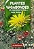 Plantes vagabondes