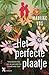 Het perfecte plaatje