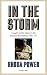 In the Storm by Rhoda Power
