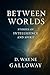 Between Worlds by D. Wayne Galloway