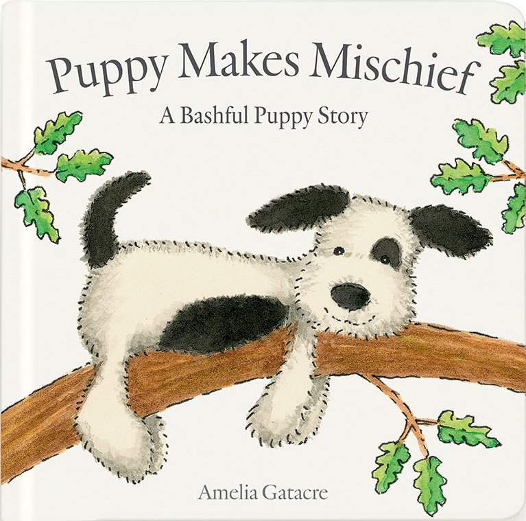 Puppy Makes Mischief (Board book)
