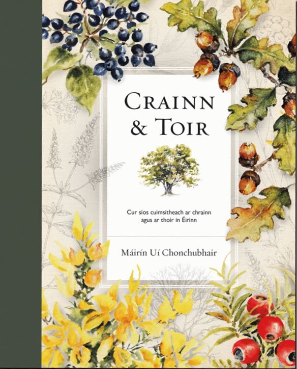 Crainn & toir (Hardcover)