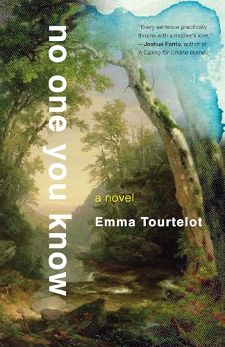 No One You Know: A Novel (Paperback)