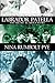 Labrador Patella: The Archie Rumbolt Story (The Nina Rumbolt-Pye Labrador series)