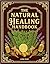 The Natural Healing Handbook by Luna Filby