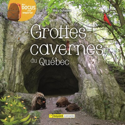 Les grottes et cavernes du Québec (Hardcover)
