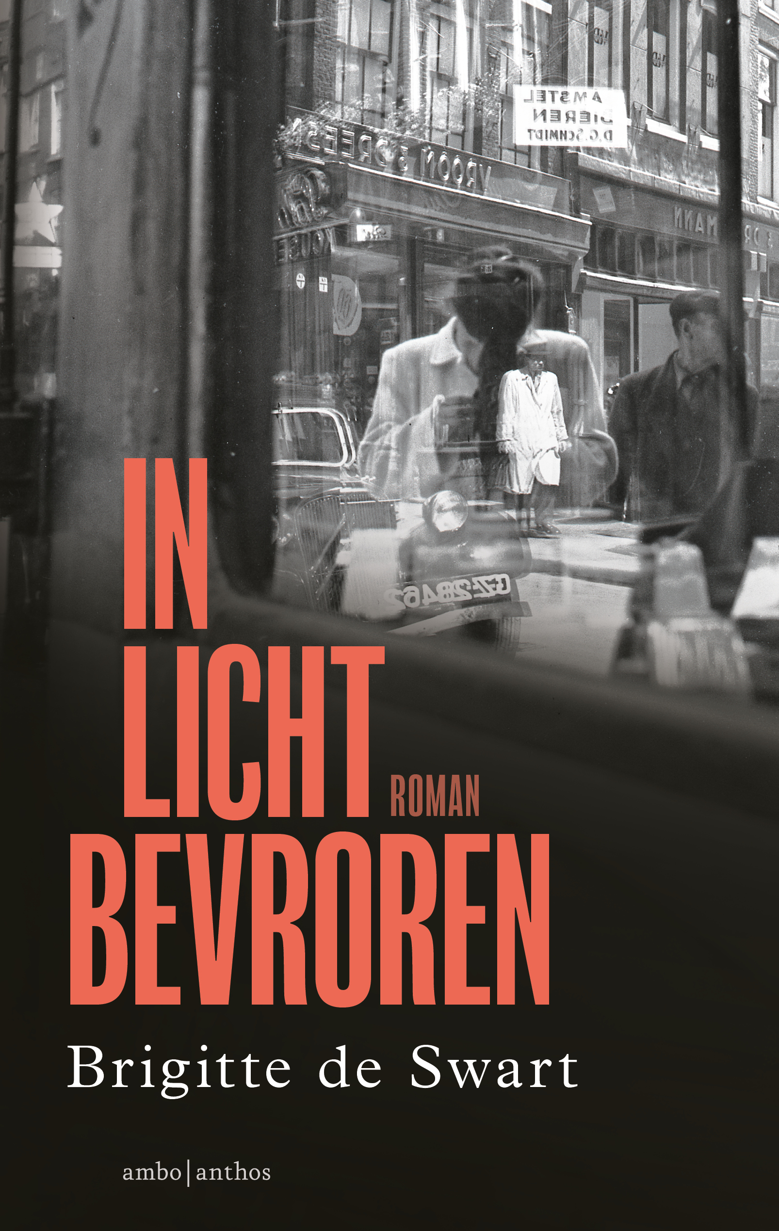 In licht bevroren (Paperback)