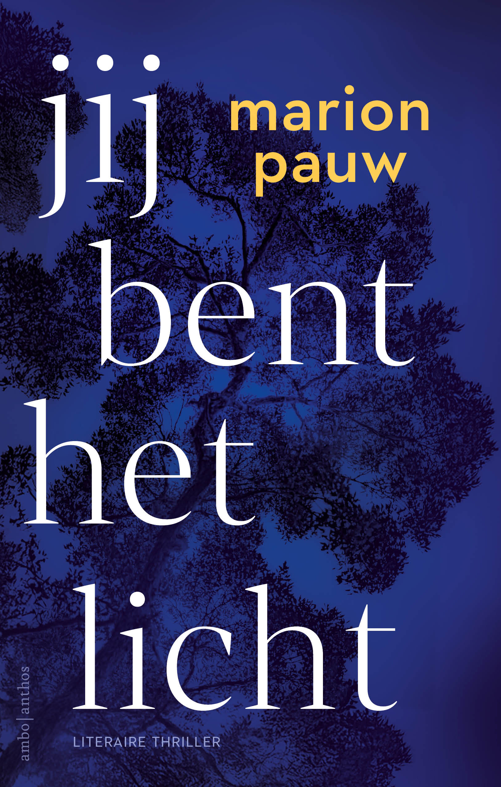 Jij bent het licht (Paperback)