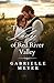 The Lady of Red River Valley by Gabrielle Meyer