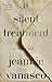 A Silent Treatment by Jeannie Vanasco