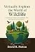 Virtually Explore the World of Wildlife by David Patton