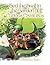 Sed the Snail in the Garden of Curious Creatures by Amanda    Ward
