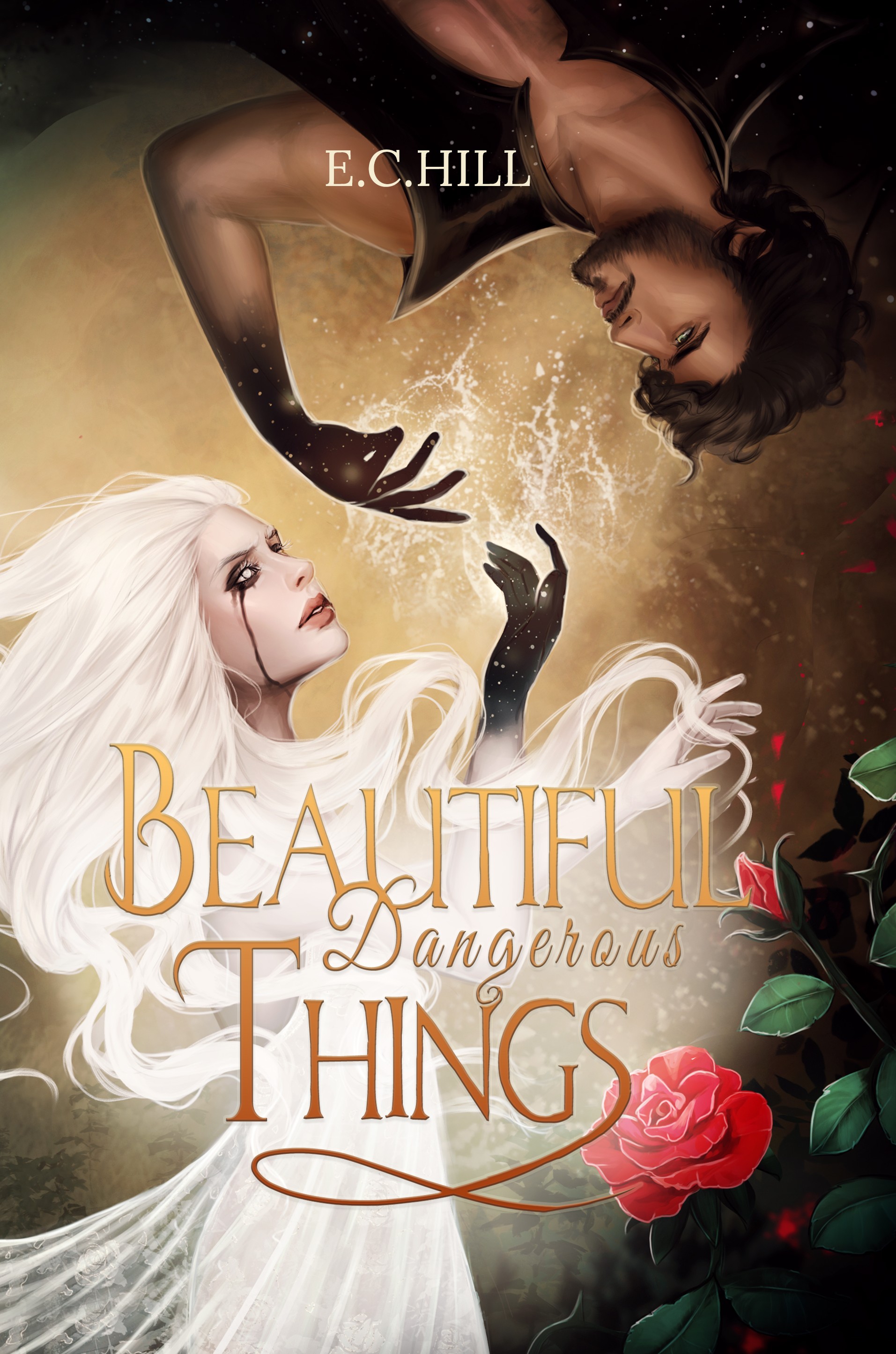 Beautiful Dangerous Things (Hardcover)