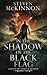 In the Shadow of the Black Flag: A Fantasy Fiction Adventure (Legacy of Light & Shadow Book 2)