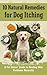 10 Natural Remedies for Dog Itching by Sajjan Kumar
