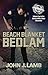 Beach Blanket Bedlam: Volume Two in the Service with a Sneer Chronicles