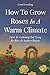 How To Grow Roses In A Warm...