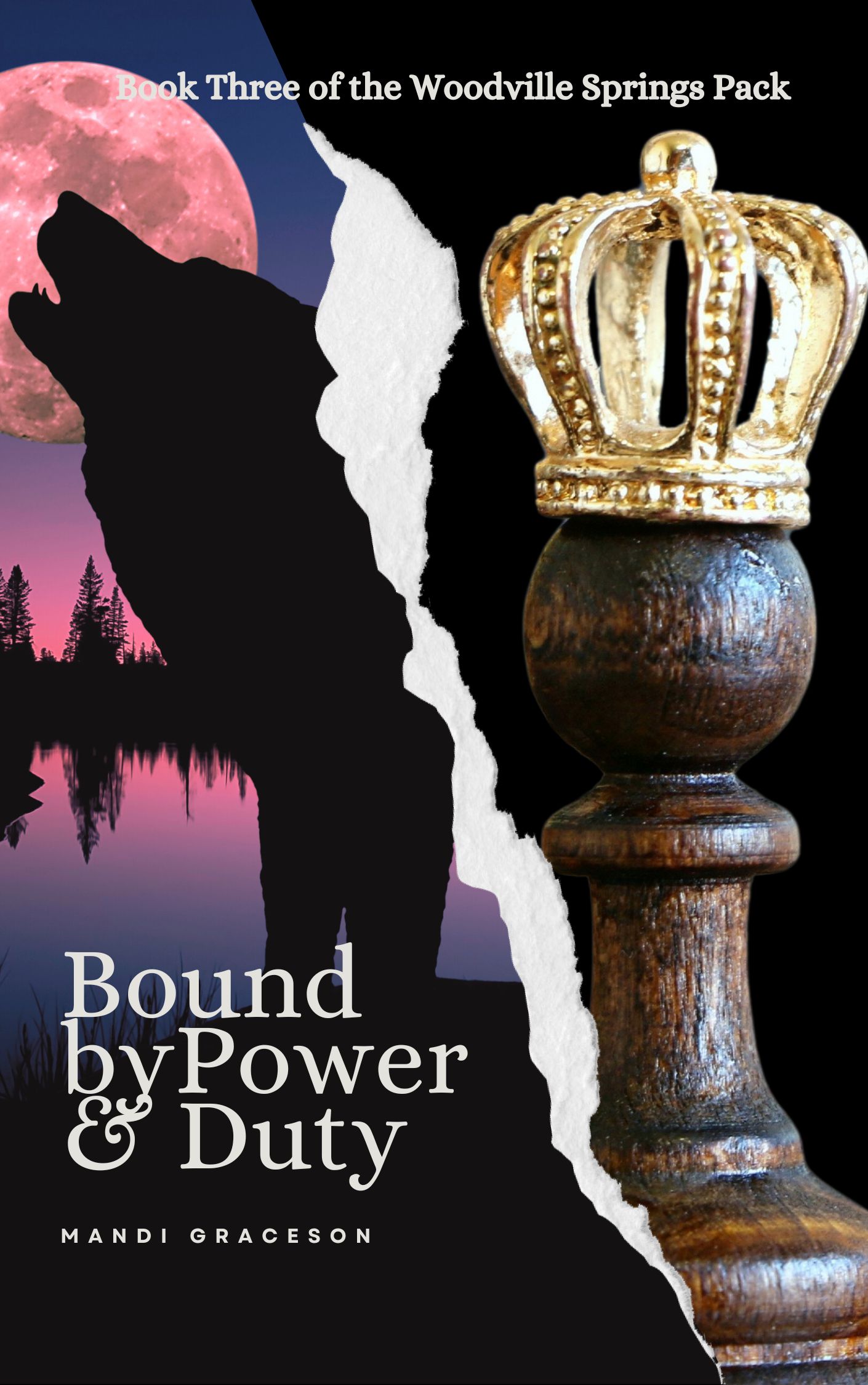 Bound by Power & Duty (Woodville Springs Pack, #3)