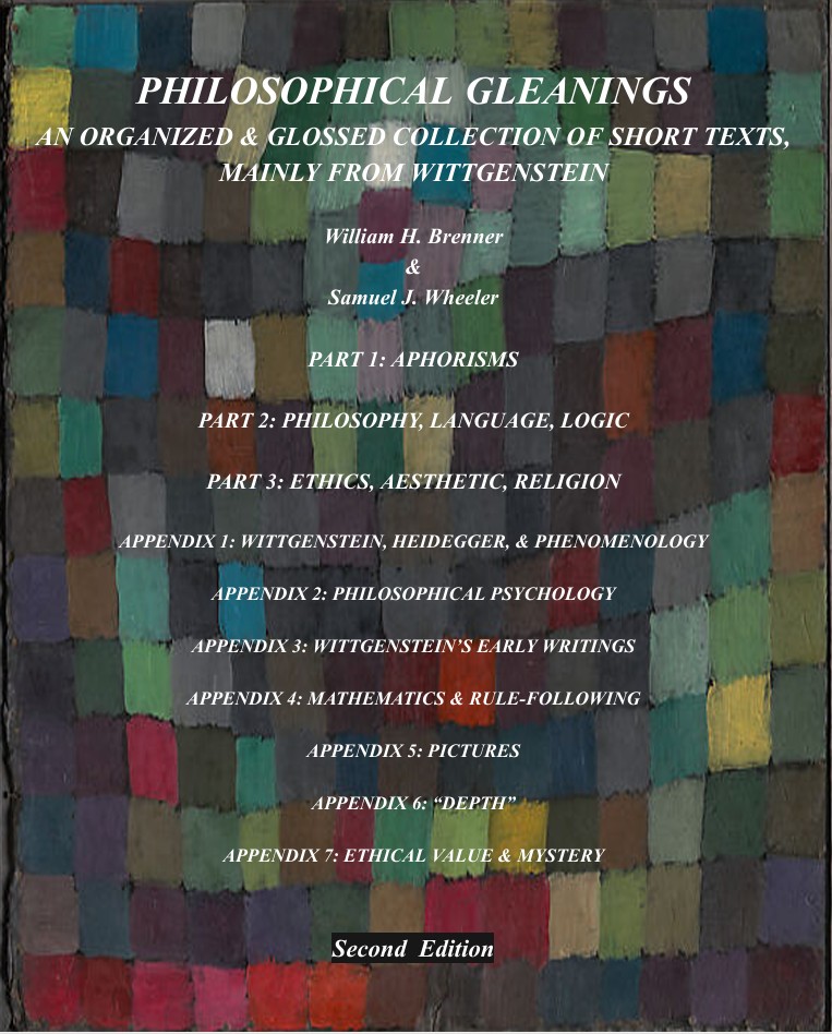 Philosophical Gleanings: An Organized & Glossed Collection of Short Texts,  Mainly from Wittgenstein