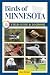 Birds of Minnesota Field Gu...