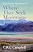 Where They Seek Mountains :...