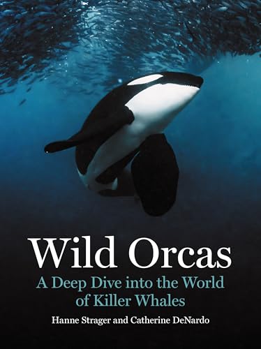 Wild Orcas: A Deep Dive into the World of Killer Whales (Hardcover)
