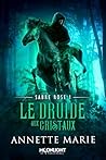 Le druide aux cristaux by Annette Marie