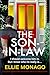 The Son-in-Law