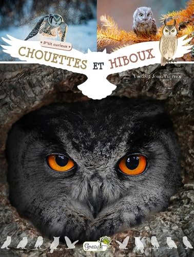 Chouettes et hiboux (Hardcover)