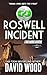 Roswell Incident by David  Wood