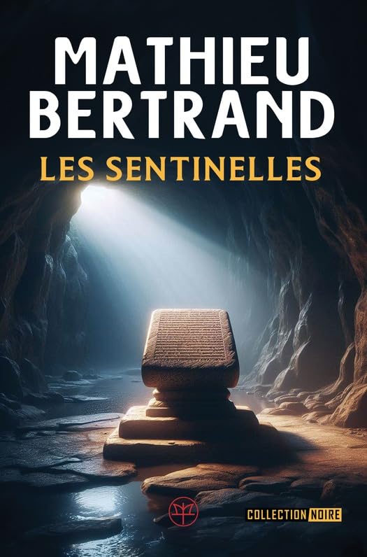 Les sentinelles (Collection noire) (French Edition)