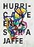 Hurricane Envy by Sara Jaffe