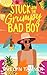 Stuck with the Grumpy Bad Boy by Evelyn Tanner
