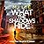 What the Shadows Hide (DI Ridpath 9)