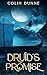 Druid's Promise: The Exile ...