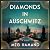 Diamonds in Auschwitz: A Novel