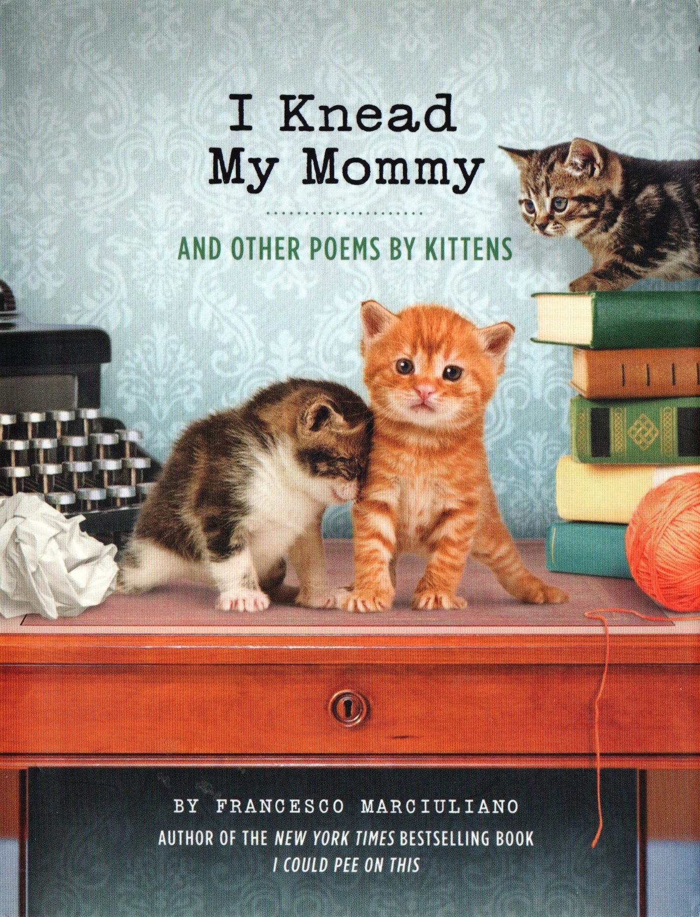 I Knead My Mommy: and Other Poems by Kittens