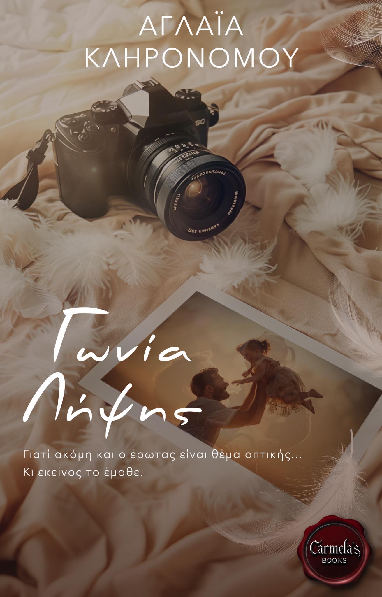 Γωνία Λήψης