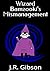 Wizard Bamzooki's Mismanagement (Wizard Bamzooki's Presidency Book 7)