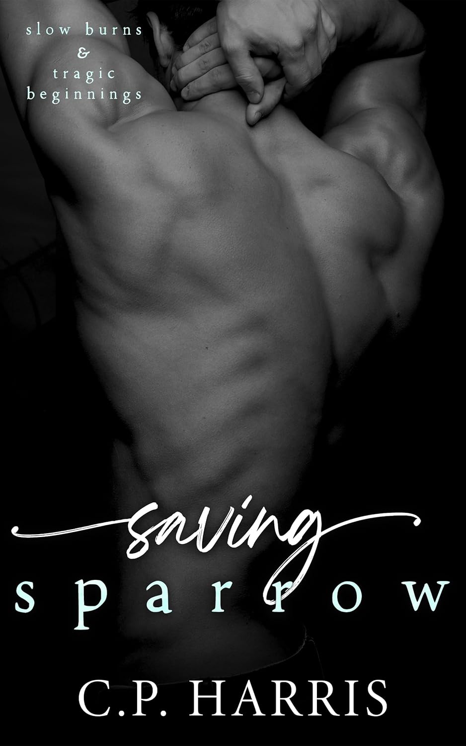 Saving Sparrow (Slow Burns & Tragic Beginnings, #2)